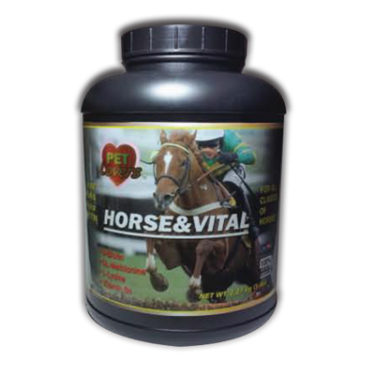 Horse-and-Vital
